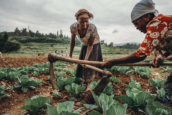 52602876_2507081745986997_6054694742397026304_n